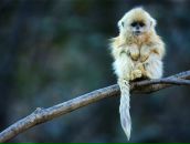 Фотография Малышевой Юлии