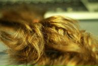 Фотография Маджумдер Рафаэль