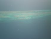 Фотография Долгановой Марины