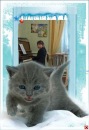 Лілюся Симанчук фотография #20 (источник - https://vk.com/id123880334)