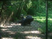 Віка Богатюк фотография #38 (источник - https://vk.com/id77462187)