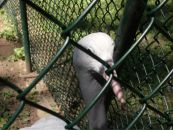 Віка Богатюк фотография #31 (источник - https://vk.com/id77462187)