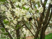 Фотография Тереховой Натальи