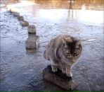 Фотография Формановской Елены