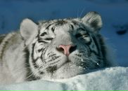 Фотография Пономаревой Настюшки