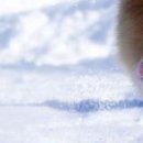 Віка Костевка фотография #47 (источник - https://vk.com/id151551439)