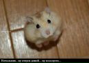 Фотография Сучковой Юлии