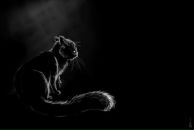 Фотография Вяткина Владимира