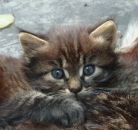 Фотография Проць Оксаны