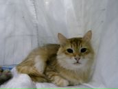 Фотография Жабин Максим