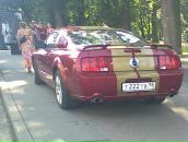 Дмитрий Нестеров фотография #49 (источник - https://vk.com/id564805)