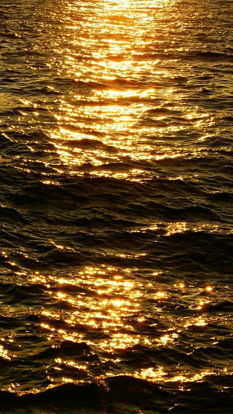 Konstantin Sdobnikov фотография #42