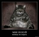 Олег Андрейців фотография #19 (источник - https://vk.com/id113450698)