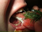 Фотография Нечушкина Анатолия