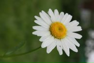 Фотография Паршинцева Романа