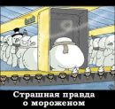 Фотография Цуха Дениса