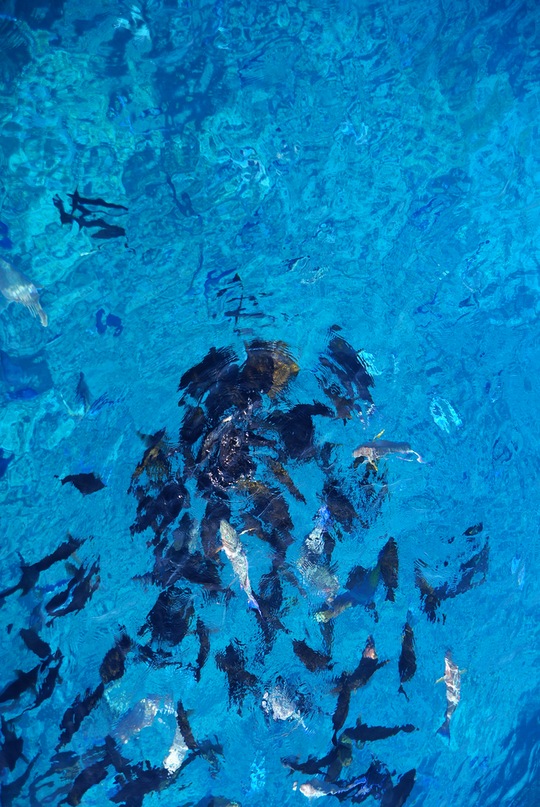 Lisa Jackson фотография #8