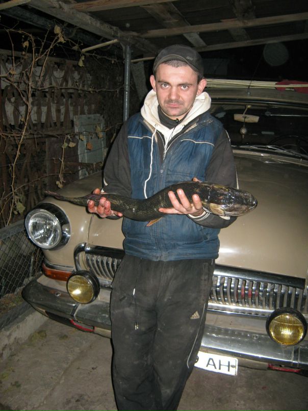 Дмитрий Голубенко фотография #33