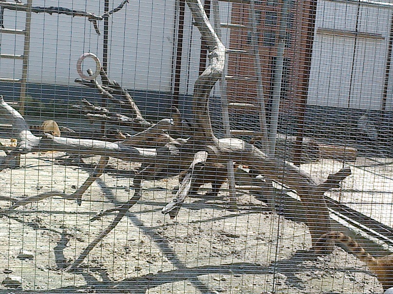 Сергей Бойко фотография #37