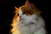 Фотография Федоровой Луизы