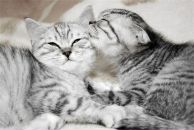 Фотография Момджианца Артёма