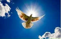 Фотография Кашина Романа