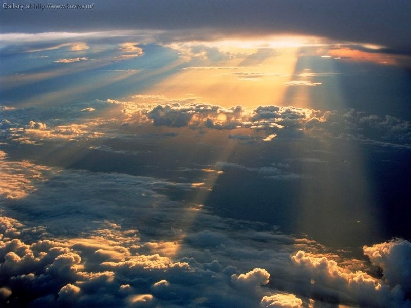 Дмитрий Носков фотография #26