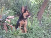 Міша Мостовий фотография #33 (источник - https://vk.com/id9774171)