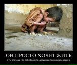Андрей Лермонтов фотография #41 (источник - https://vk.com/id3879905)