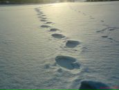 Олександр Кришталь фотография #6 (источник - https://vk.com/id22448110)