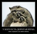 Інна Ярош фотография #41 (источник - https://vk.com/id134978498)