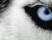 Ігорьок Лихацький фотография #26 (источник - https://vk.com/id117523521)