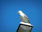 Юрій Міняйло фотография #33 (источник - https://vk.com/id81205660)