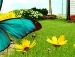 Natalja . фотография #5 (источник - https://vk.com/id136431612)