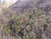 Иван Черников фотография #35 (источник - https://vk.com/id3073813)