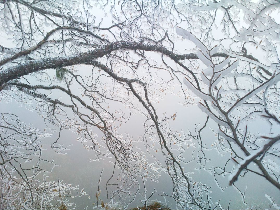 Виктор Кузнецов фотография #3