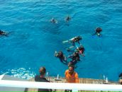 Катя Олійник фотография #26 (источник - https://vk.com/id16853046)