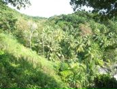 Дмитрий Михеенко фотография #26 (источник - https://vk.com/id553521)