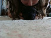 Фотография Половинкиной Ольги