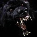 Віталій Мурашкін фотография #50 (источник - https://vk.com/id63178276)