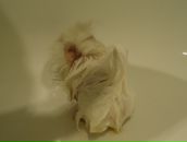 Фотография Мандровской Ксении