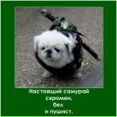 Фотография Иволгиной Веры