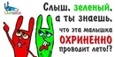 Віталій Єгоров фотография #15 (источник - https://vk.com/id139587321)