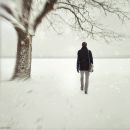 Фотография Авраменко Евгения