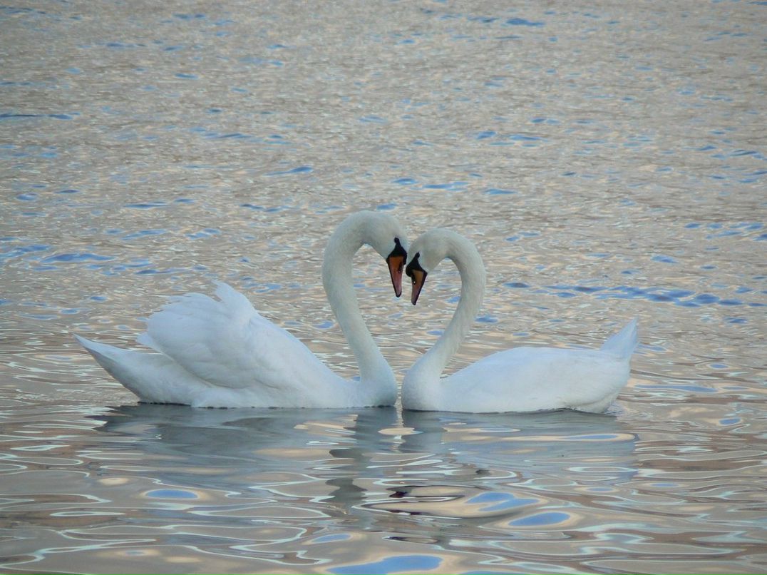 Оля Коваленко фотография #22