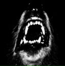 Олена Піхо фотография #28 (источник - https://vk.com/id36457702)