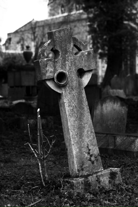 Ден Потипа фотография #15