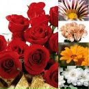 Тетяна Вагіна фотография #29 (источник - https://vk.com/id157966149)