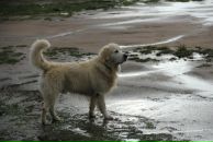 Иван Любченко фотография #40 (источник - https://vk.com/id682883)