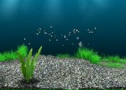 Віталік Бідочко фотография #11 (источник - https://vk.com/id103179026)